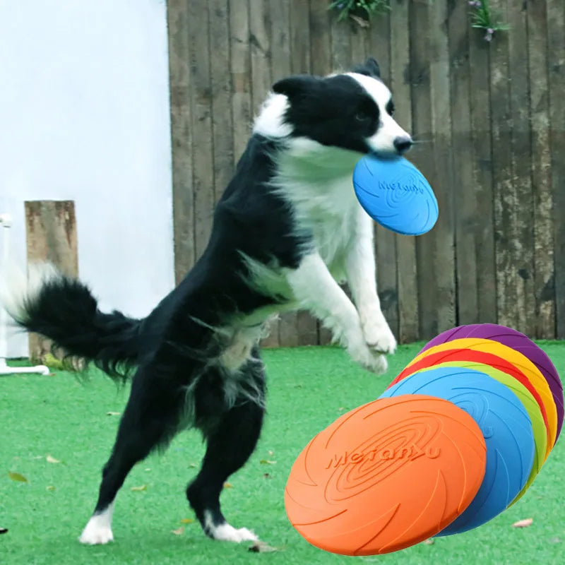 Hunde-Flugscheibe – Robustes Wurf- & Kauspielzeug