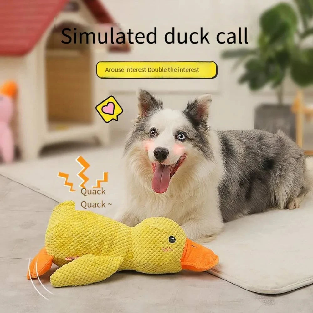 Quack Buddy