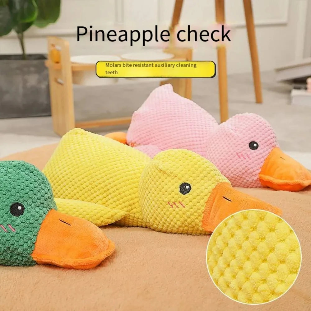 Quack Buddy