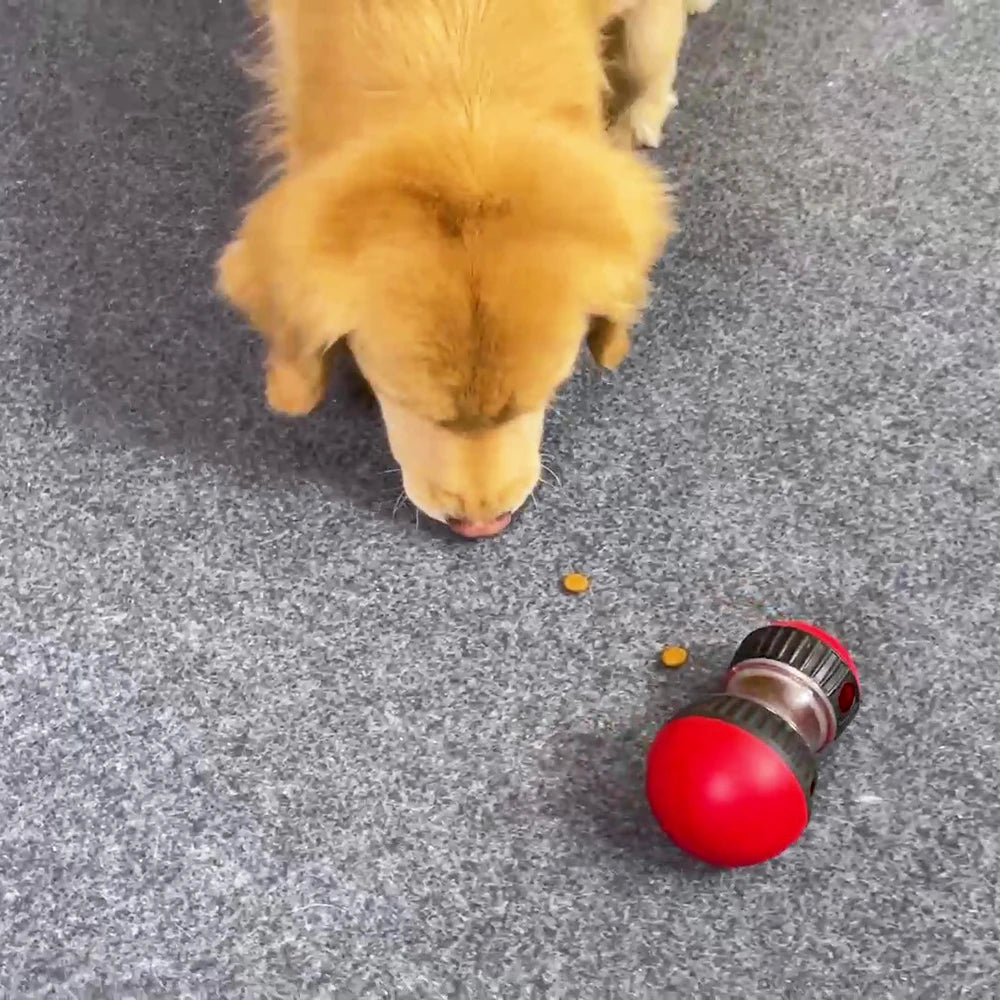 Knabber Kugel - Interaktiver Futterspender für Hunde