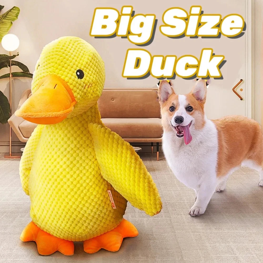 Quack Buddy