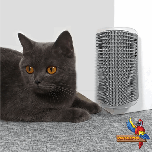 Die pflegende Wandbürste für Katzen