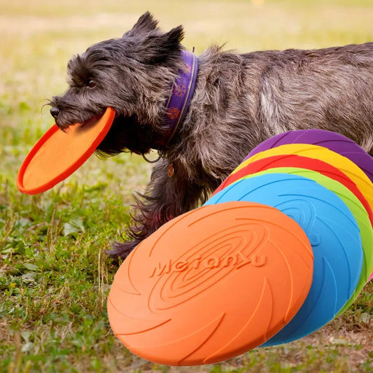 Meian<u Hunde-Flugscheibe – Robustes Wurf- & Kauspielzeug