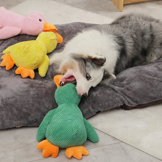 Quack Buddy
